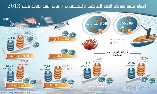 ارتفاع مفرغات الصيد الساحلي والتقليدي بنسبة 7 في المئة متم غشت 2013