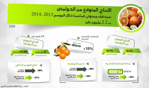 الإنتاج المتوقع من الحوامض سيحقق مستوى قياسيا خلال الموسم 2013- 2014 ب 2,2 مليون طن (وزارة)