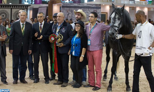 معرض الفرس بالجديدة.. المغرب يتصدر نتائج البطولة الدولية للخيول البربرية