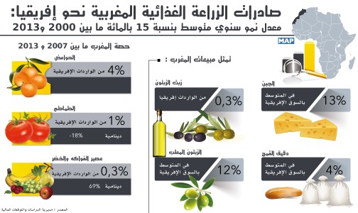 صادرات الزراعة الغذائية المغربية نحو إفريقيا: معدل نمو سنوي متوسط بنسبة 15 بالمائة ما بين 2000 و2013 (مديرية الدراسات والتوقعات المالية)