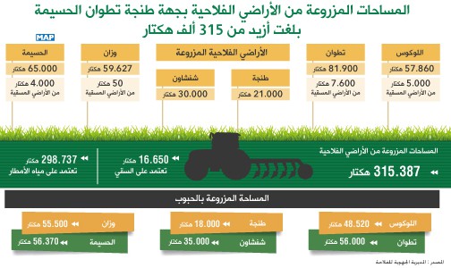 المساحات المزروعة من الأراضي الفلاحية بجهة طنجة تطوان الحسيمة بلغت أزيد من 315 ألف هكتار (تقرير)