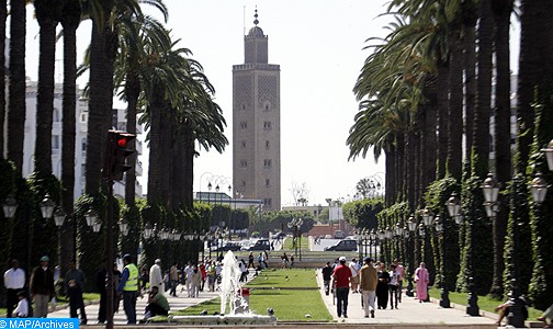 وزارة الصحة تؤكد عدم تسجيل أية حالة إصابة بفيروس زيكا في المغرب لحد الآن