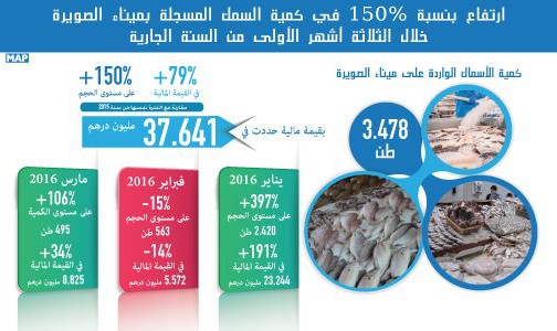 ارتفاع بنسبة 150 في المائة في كمية السمك المسجلة بميناء الصويرة خلال الثلاثة أشهر الأولى من السنة الجارية