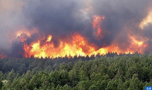 السيطرة على حريق غابوي شب بمنطقة جبل الحبيب (إقليم تطوان) أتى على نحو 85 هكتارا