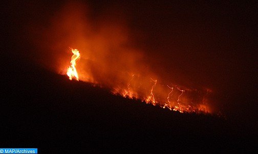 حرائق الغابات بالمغرب .. 270 حريقا اجتاحت 1739 هكتارا ما بين فاتح يناير و23 غشت 2016