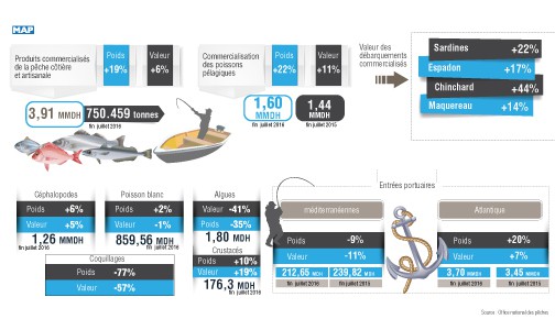 ارتفاع القيمة المالية للكميات المفرغة من منتجات الصيد الساحلي والتقليدي ب 6 في المائة في متم يوليوز المنصرم (بلاغ)