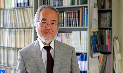 منح جائزة نوبل للطب للياباني يوشينوري اوسومي