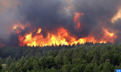 الحرائق تلتهم حوالي 10 ملايين هكتار من الغابات سنويا (المندوبية السامية للمياه والغابات ومحاربة التصحر)
