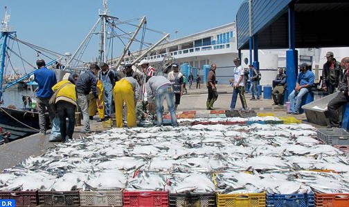 ارتفاع الكميات المفرغة من منتجات الصيد الساحلي والتقليدي بـ 8 في المئة متم نونبر 2016