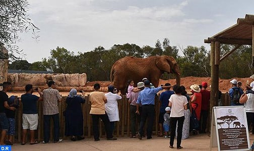 حديقة الحيوانات بالرباط استقبلت منذ افتتاحها حوالي ثلاثة ملايين زائر