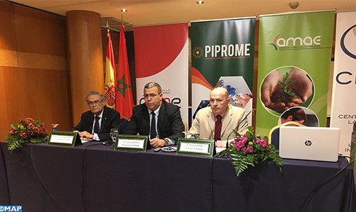 المشاركة السياسية للمغاربة المقيمين في إسبانيا حافز لتحسين اندماجهم في البلد المضيف ( ندوة)