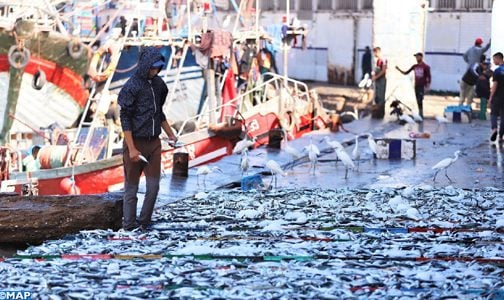 إيلات : افتتاح أشغال مؤتمر دولي حول تقنيات إنتاج الغذاء من البحر والصحراء بمشاركة المغرب