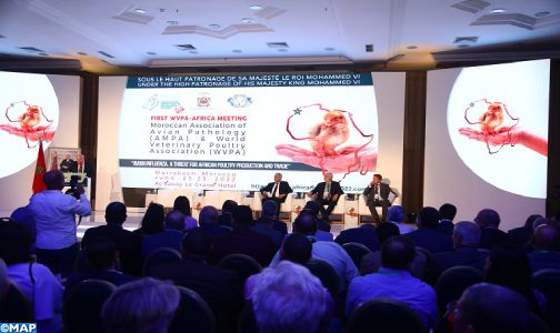 مراكش..انطلاق أشغال “المؤتمر الإفريقي الأول لأمراض الدواجن”