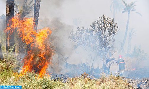 بني ملال: النيران تأتي على 25 هكتارا من الغابات
