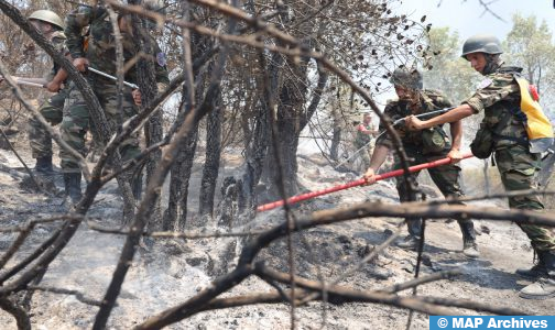 إقليم شفشاون: السيطرة على حريق غابة “أكمسان” بجماعة باب برد