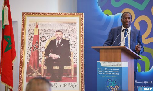 الجهوية المتقدمة.. نجاح النموذج المغربي للجهوية نابع من إدماجه للبعد الاقتصادي (مسؤول إفريقي)
