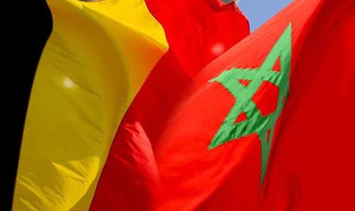 المغرب-بلجيكا.. شراكة مكثفة في تطور مستمر
