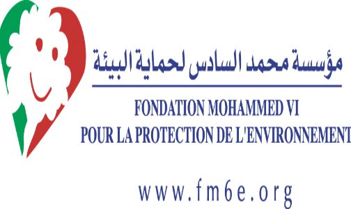 مراكش: سلسلة ورشات تعليمية وتفاعلية لفائدة 650 شابا متضررا من الزلزال