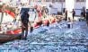 ميناء المهدية: انخفاض الكميات المفرغة من منتجات الصيد البحري بـ33 في المائة عند متم شهر ماي الفارط (مكتب)
