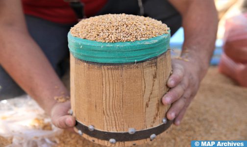 توزيع أزيد من 7 آلاف قنطار من الشعير المدعم بإقليم تزنيت