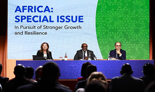 إفريقيا مدعوة لإعطاء الأولوية لتعزيز الصمود الاقتصادي (مسؤولان بصندوق النقد الدولي)