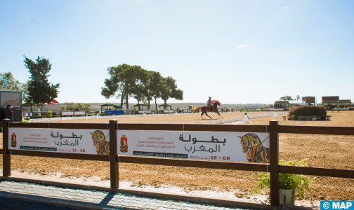 بطولة المغرب للترويض (خيول 7 سنوات) : الفارسة ياسمين لبونت تحرز اللقب