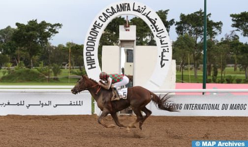 الملتقى الدولي المغربي التاسع لسباق الخيول: الحصان “فيكا غرين” يفوز بجائزة صاحب الجلالة الملك محمد السادس للخيول العربية الأصيلة