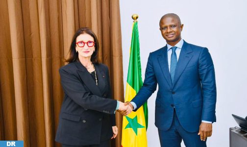 السنغال ملتزمة بالمساهمة في إنجاح مشروع خط أنابيب الغاز الاستراتيجي بين نيجيريا والمغرب (وزير)
