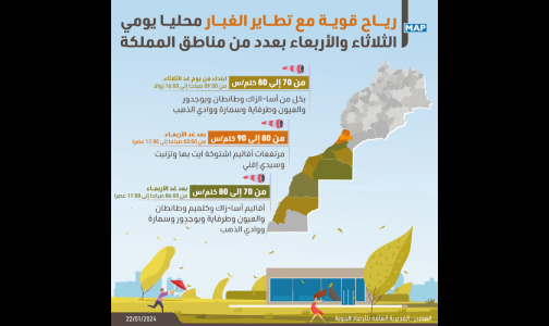 رياح قوية مع تطاير الغبار محليا يومي الثلاثاء والأربعاء بعدد من مناطق المملكة (نشرة إنذارية)