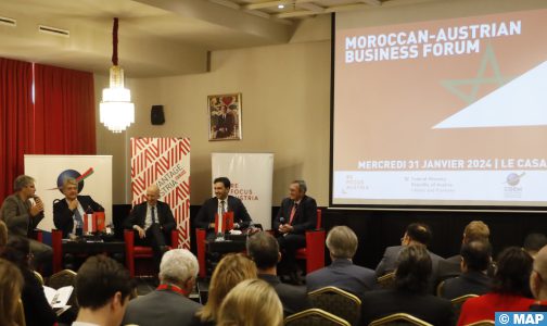 المغرب-النمسا.. نحو تعزيز التعاون في قطاع الطاقة