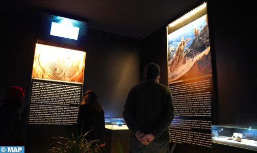 الرباط.. افتتاح المعرض الدولي الأول حول التراث الأحفوري