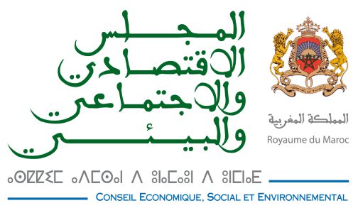 زيارة عمل لرئيس المجلس الاقتصادي والاجتماعي والبيئي والثقافي المالي إلى المغرب