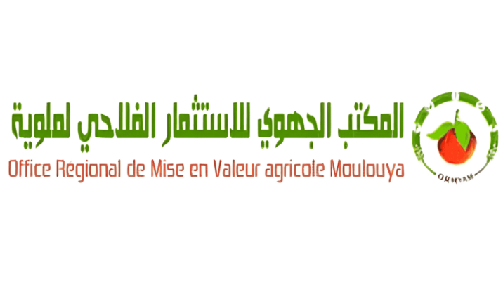 المكتب الجهوي للاستثمار الفلاحي لملوية يعقد الدورة الأولى لمجلسه الإداري برسم سنة 2024