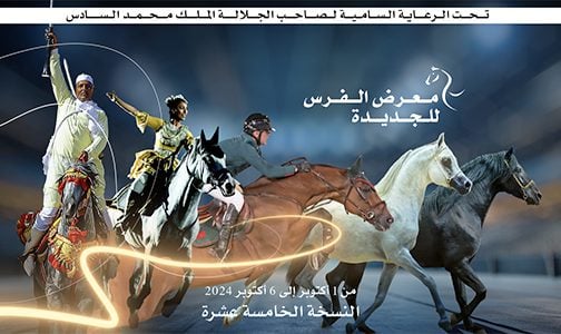 الدورة ال15 لمعرض الفرس للجديدة في أكتوبر المقبل تحت شعار “تربية الخيول في المغرب: الابتكار والتحدي”