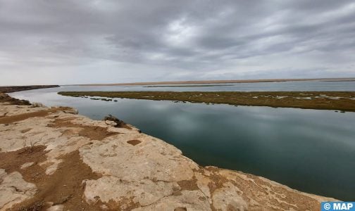 المنتزه الوطني أخنيفيس، جوهرة التنوع البيولوجي تجمع بين البحيرة والبحر والصحراء