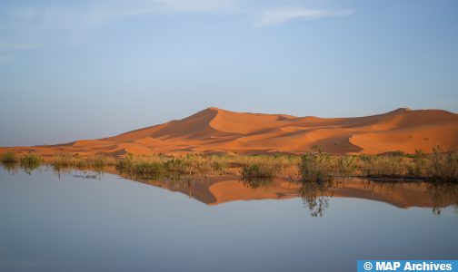 قناة (سينيوز) تنبهر من “المشاهد المذهلة لكثبان الصحراء المغربية” بعد أمطار شتنبر