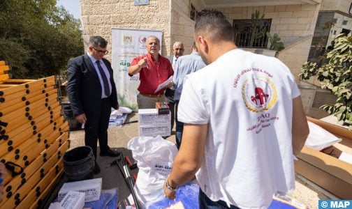 القدس.. إطلاق حملة “عونة” لقطاف الزيتون بدعم من وكالة بيت مال القدس الشريف