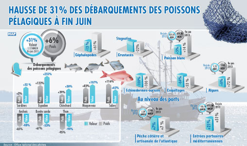 Hausse de 31 pc des débarquements des poissons pélagiques à fin juin