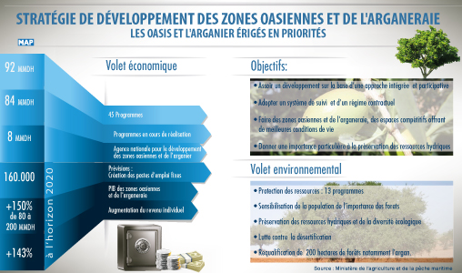 Stratégie de développement des zones oasiennes et de l’arganeraie, les oasis et l’arganier érigés en priorités