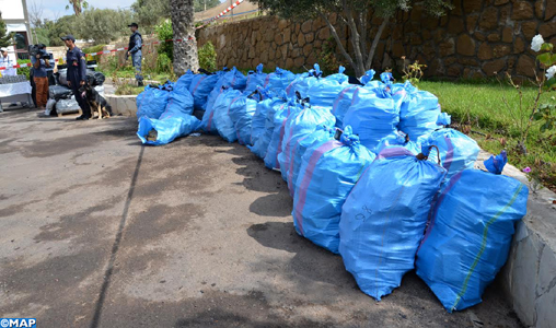 Saisie de plus de 9 tonnes de Chira dans la banlieue d’Agadir