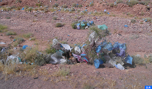 Les Marocains peinent encore à s’adapter aux nouveaux substituts des sacs en plastique (acteur associatif)
