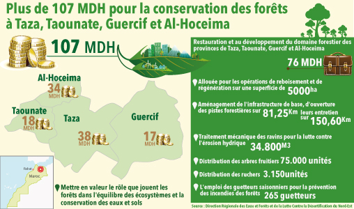 Plus de 107 MDH pour la conservation des forêts à Taza, Taounate, Guercif et Al-Hoceima