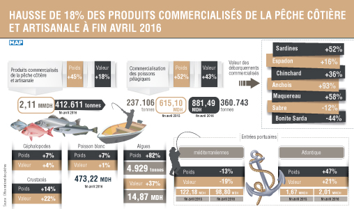 Hausse de 18 pc des produits commercialisés de la pêche côtière et artisanale à fin avril 2016 (ONP)