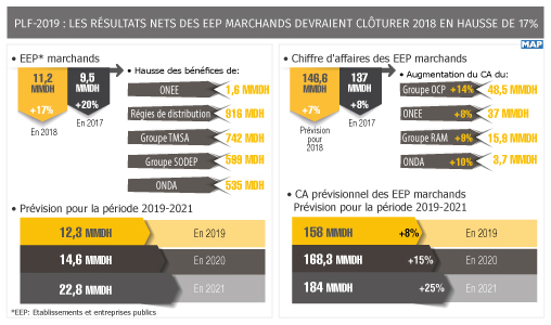 PLF-2019 : Les résultats nets des EEP marchands devraient clôturer 2018 en hausse de 17% (rapport)