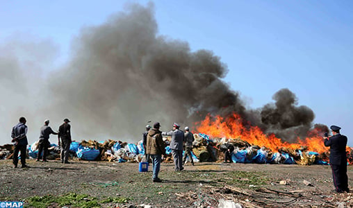 Safi: Destruction d’une importante quantité de drogues saisie