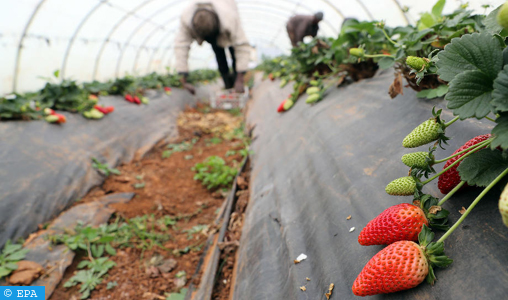 La crise du secteur agricole secoue l’Espagne