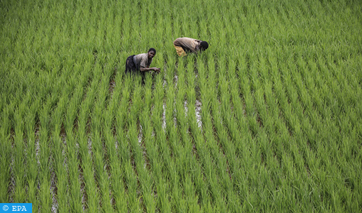 Malmené par le réchauffement climatique, le Rwanda s’engage à réduire de 38% ses émissions de GES d’ici 2030