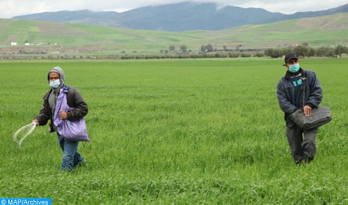 Errachidia : Une session de formation pour les agriculteurs de la commune de Ghriss Soufli