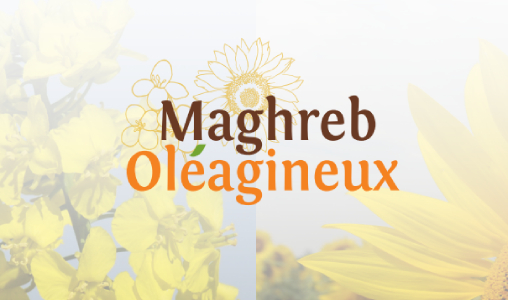 Maghreb Oléagineux: Des fondamentaux solides pour le développement de la filière oléagineuse marocaine