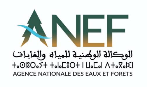 La création de l’Agence Nationale des Eaux et Forêts augure d’un changement radical dans la gestion du domaine forestier au Maroc (responsable)